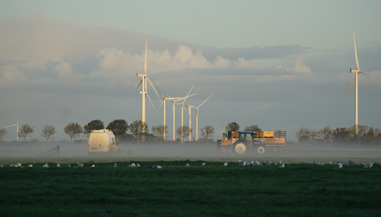 Tokyo Gas makes 1GW Nordic clean power move Greek refiner acquires 240MW wind portfolio