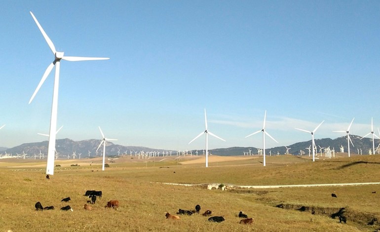 Scottish onshore wind forum launches Scottish onshore wind forum launches