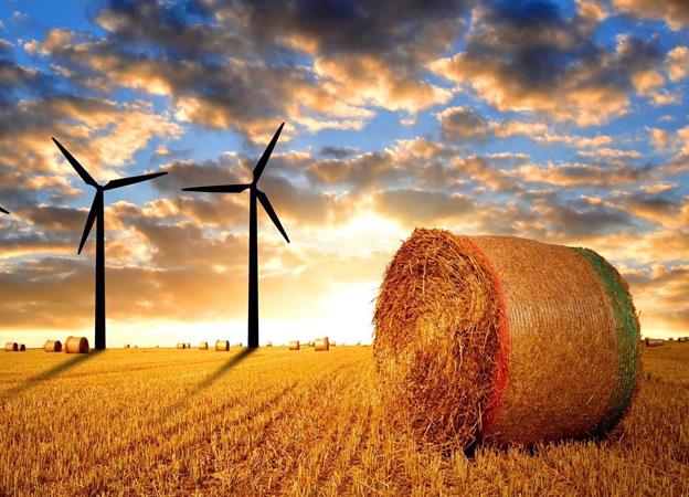 Shell takes stake in Oz wind player Australian mega-farm seeks grid connection