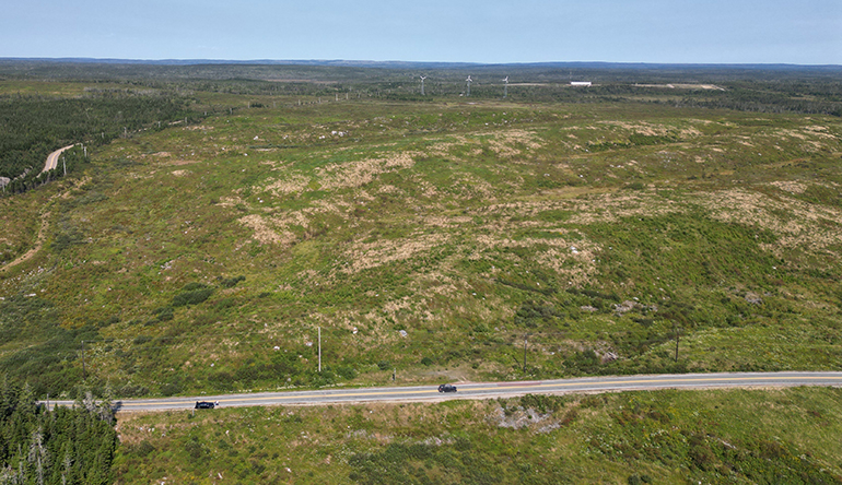 Simply Blue outlines Canadian green fuel hub