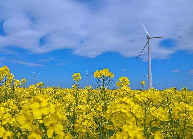 Innogy seeks PPAs through DNV GL platform