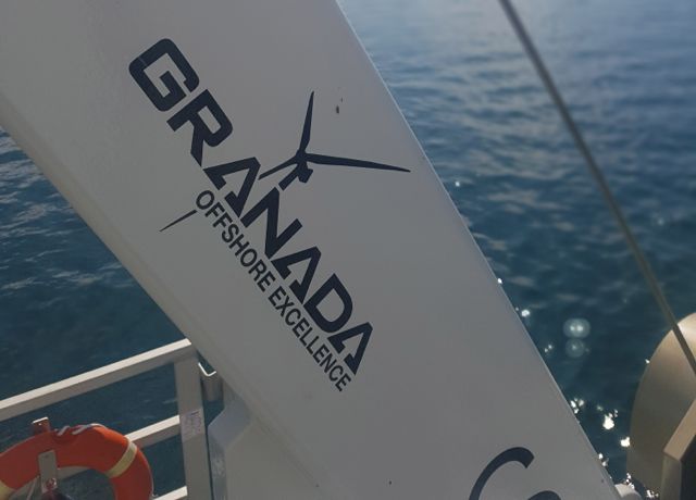 Granada delivers 1000th crane