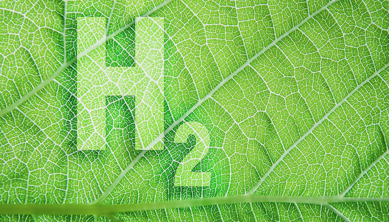 IEEFA warns Germany over hydrogen costs IEEFA warns Germany over hydrogen costs