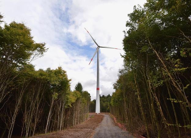 Trianel takes home 8MW