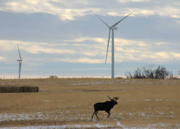 Alberta maps clean power drive 