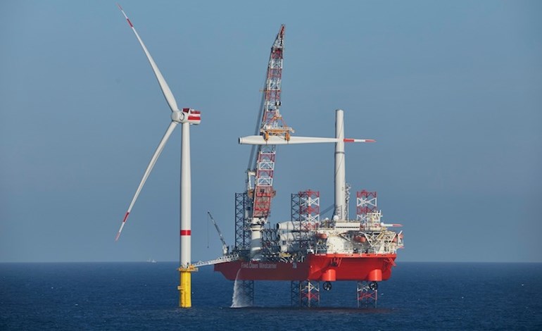 Luxcara confirms 1.5GW win in German auction Albatros hits the final furlong