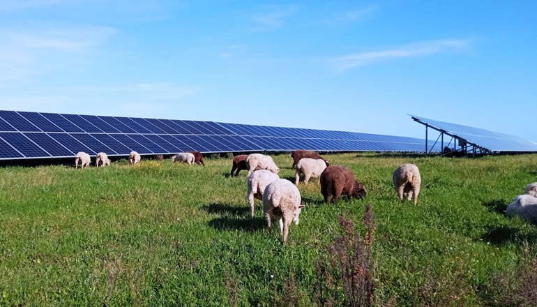 Mirova invests €140m in Hyperion Renewables Mirova invests €140m in Hyperion Renewables