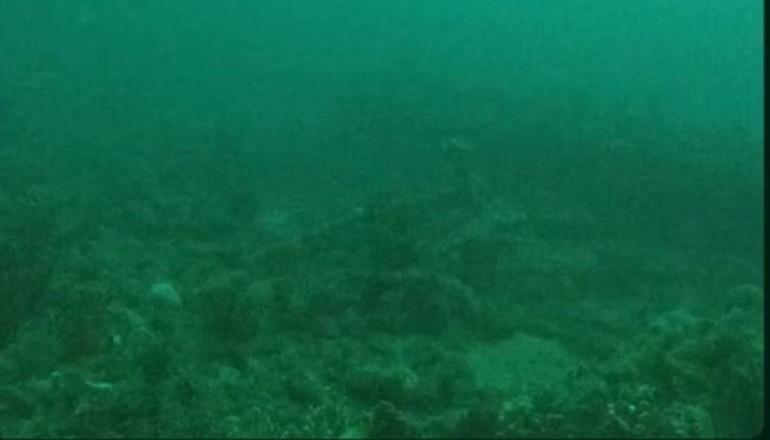 Iberdrola survey solves 1877 shipwreck Iberdrola survey solves 1877 shipwreck