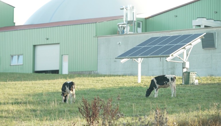 Iberdrola wins four French agrovoltaic projects