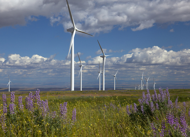 Iberdrola, Air Liquide ink PPA Iberdrola secures €300m World Bank loan