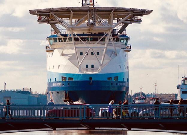 Lowestoft harbours Italian giant