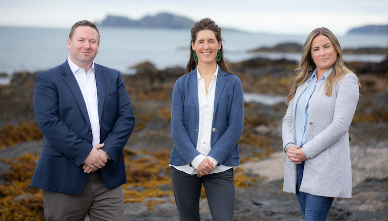 Irish newbie targets 1GW offshore by 2030 Irish newbie targets 1GW offshore by 2030