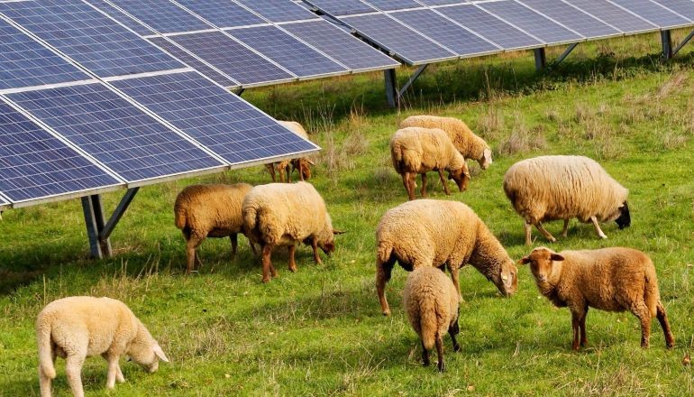 Trianel plans 900MW battery project in Germany