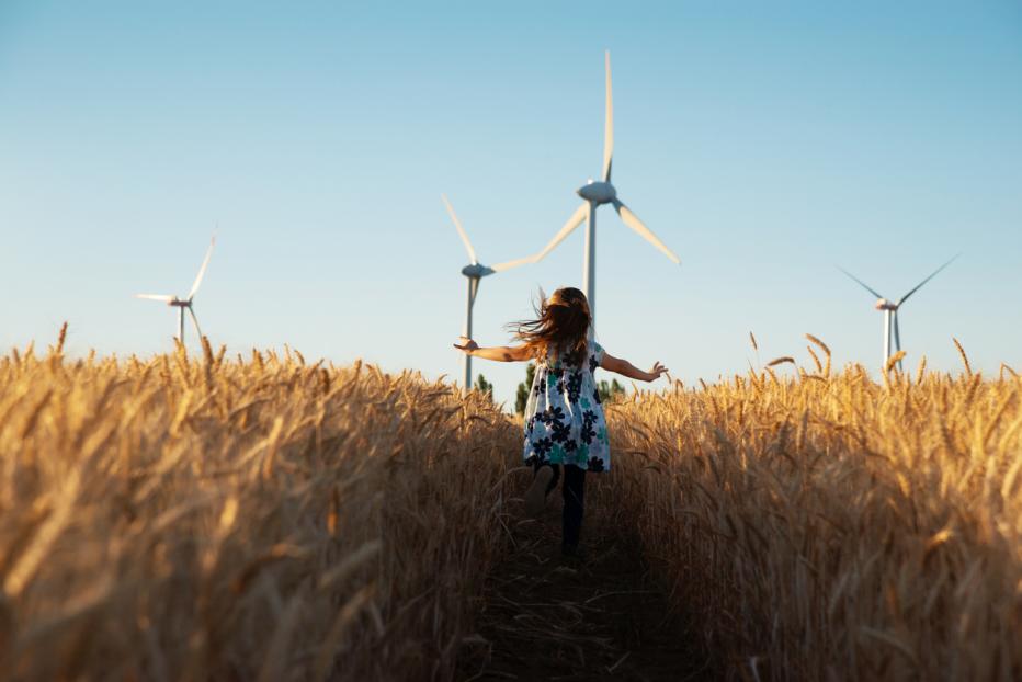 Jacobs wins EirGrid framework Jacobs wins EirGrid framework