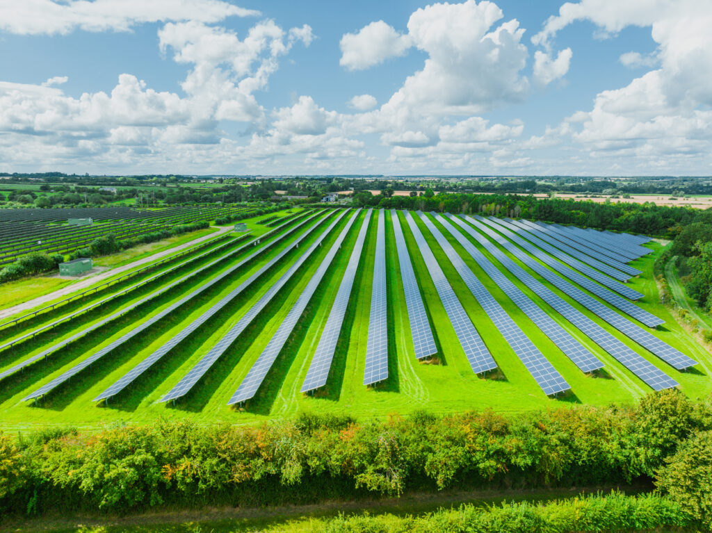 Council green-lights Lowfield solar farm