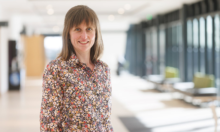 RenewableUK Cymru criticises Reform Wales ban Clean growth map reveals £9bn opportunity for Wales