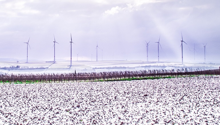 Texas ice snap ‘led to $4bn wind financial losses'