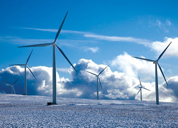 Poland urged to 'boost wind procurement'