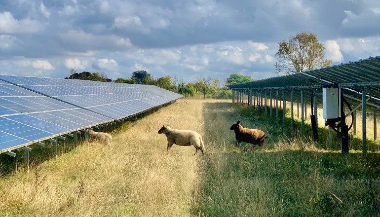 Renewable Connections receives third solar approval Renewable Connections receives third solar approval