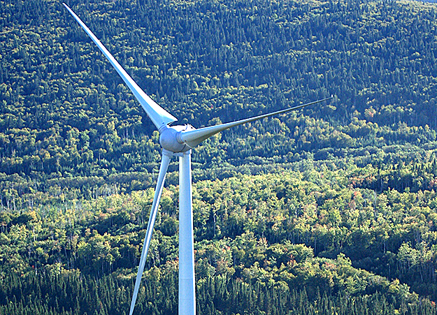 Boralex flush for Quebec spree Boralex flush for Quebec spree
