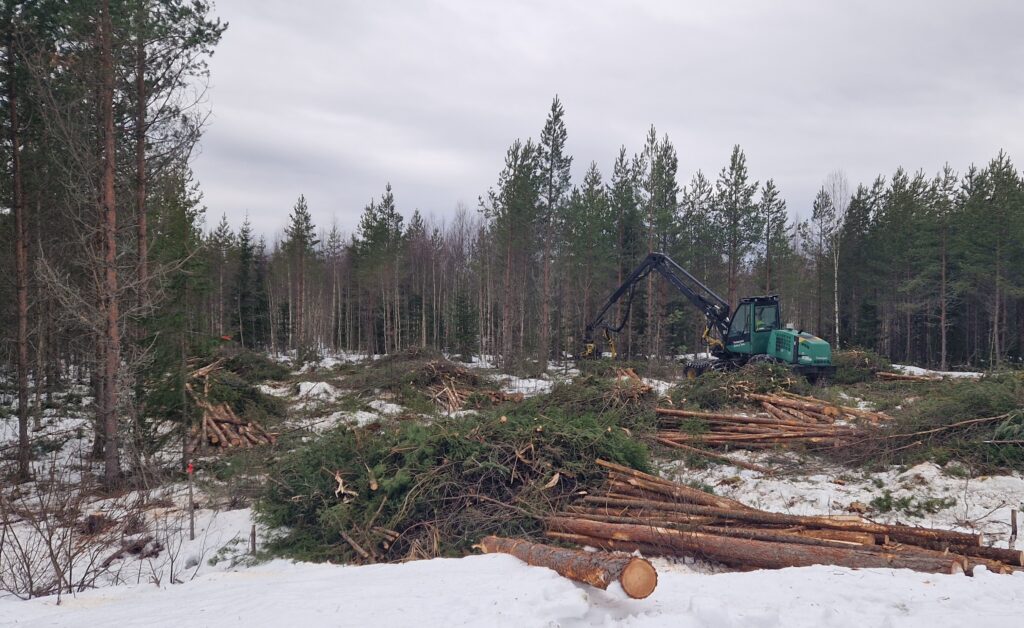 Energiequelle begins 100MW Finnish wind project Energiequelle begins 100MW Finnish wind project