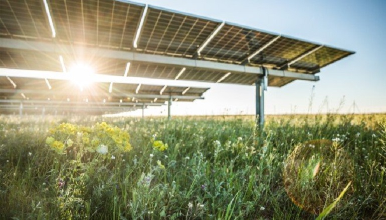 Lightsource BP secures funds for US projects Lightsource BP taps into AI to optimise solar assets