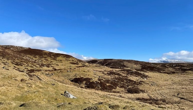 Low Carbon unveils 138MW Scottish array