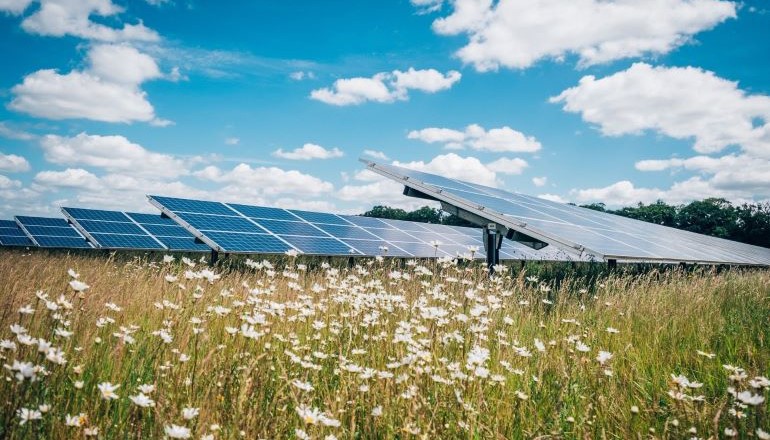 EDF buys 500MW Gate Burton solar project