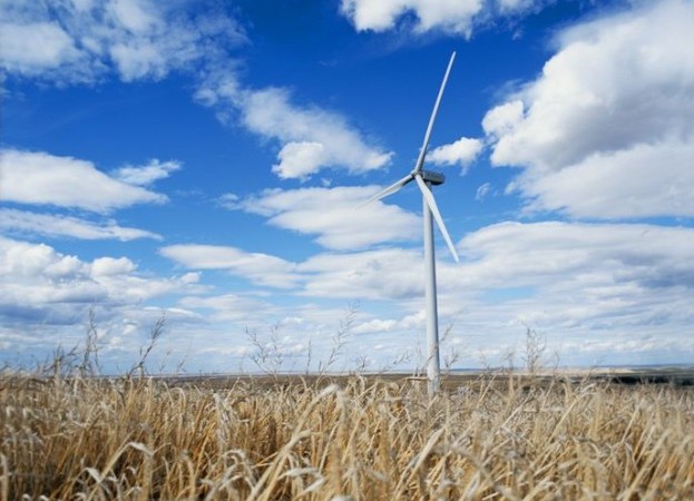 Suncor plans 600MW RE spree