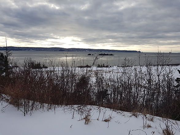 Inyanga to ramp up renewables in Canada