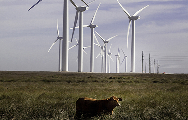 US 2018 wind demand blows strong US 2018 wind demand blows strong