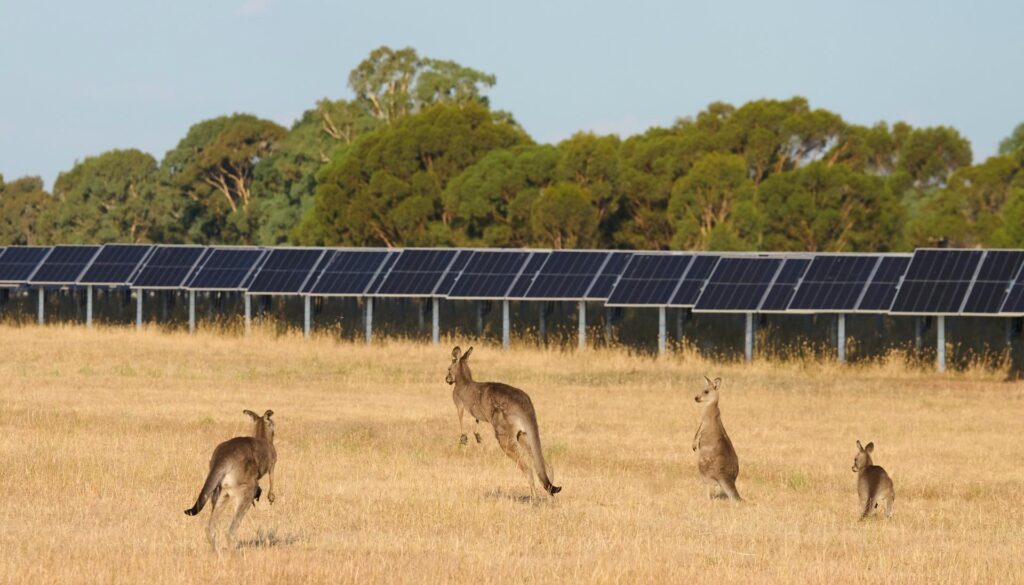 European Energy powers up Oz PV site European Energy powers up Oz PV site