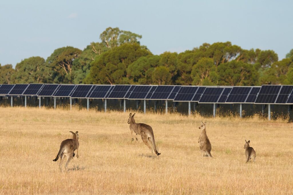 European Energy wins 1.1GW Upper Calliope approval European Energy wins 1.1GW Upper Calliope approval