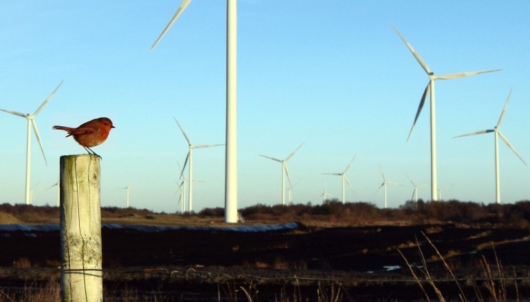 BnM puts full focus on renewables after peat pledge BnM puts full focus on renewables after peat pledge
