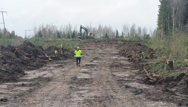 Nala starts build of 50MW Finnish battery project Nala starts build of 50MW Finnish battery project