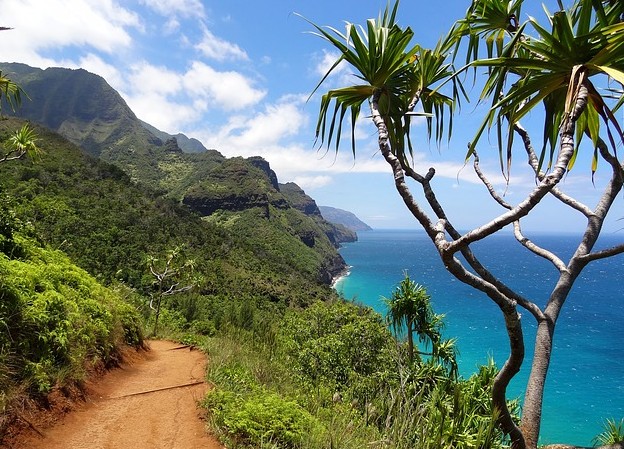 Hawaii starts 300MW RE hunt Hawaii starts 300MW RE hunt