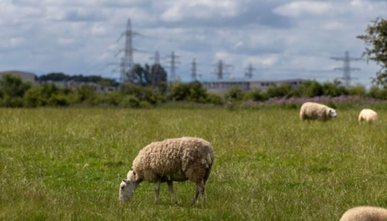 Hitachi secures EGL3 converter stations deal National Grid launches £8bn substation drive