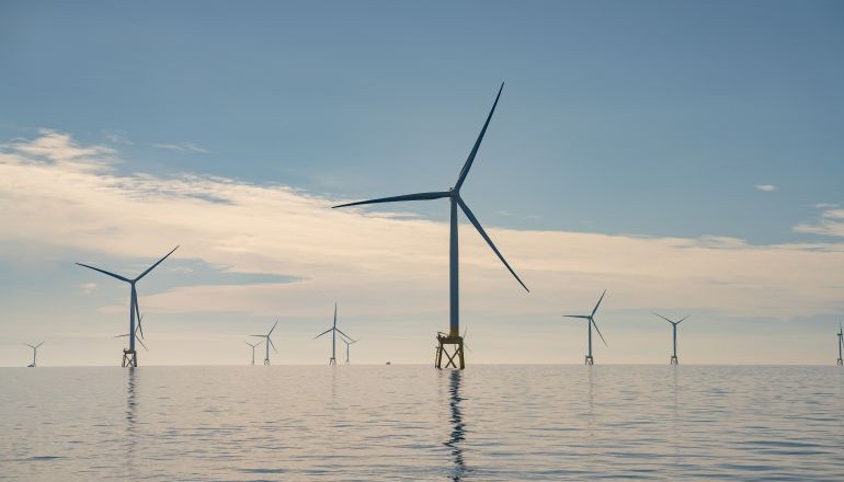 NnG launches major seabird monitoring studies