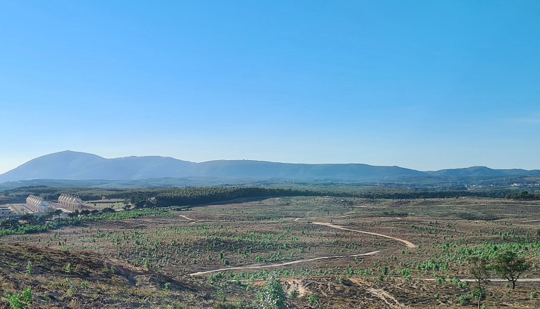 Neoen turns sod on 272MW Portuguese solar