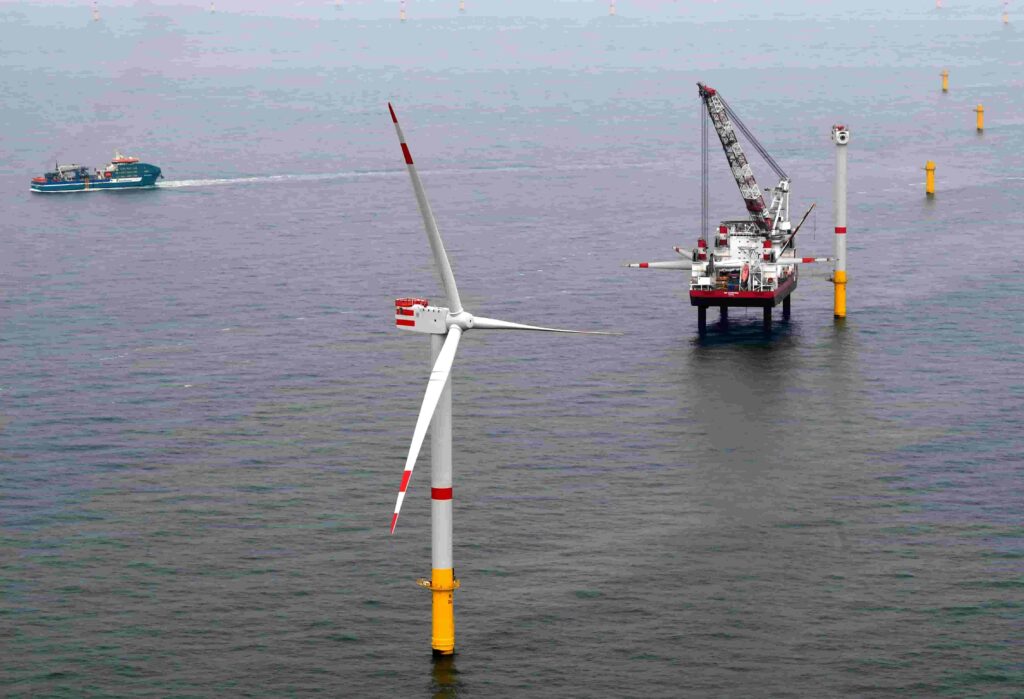 BWO calls for German offshore policy clarity BWO calls for German offshore policy clarity