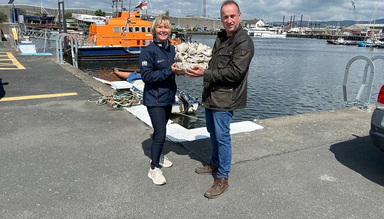 Offshore JV backs Irish oyster reef restoration Offshore JV backs Irish oyster reef restoration