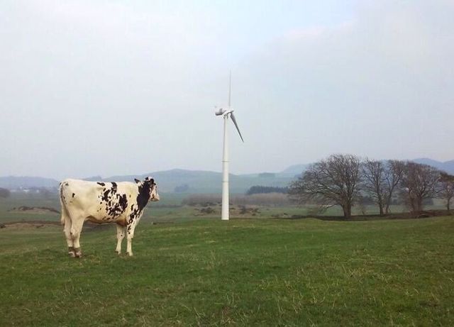 Norvento sows Scottish crop