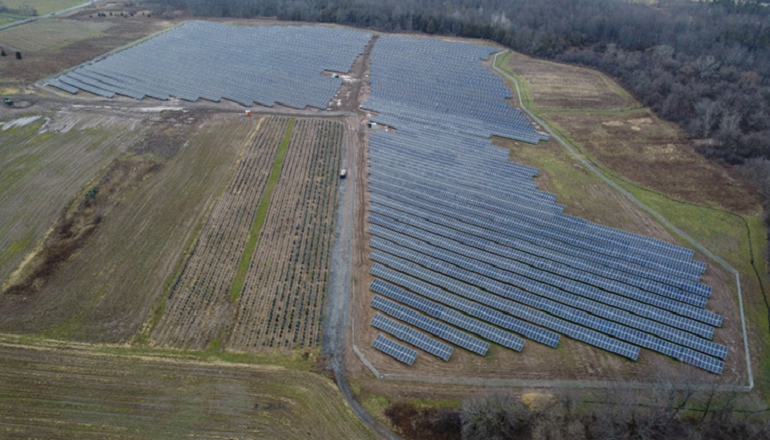 Novis starts up New York solar trio Novis starts up New York solar trio
