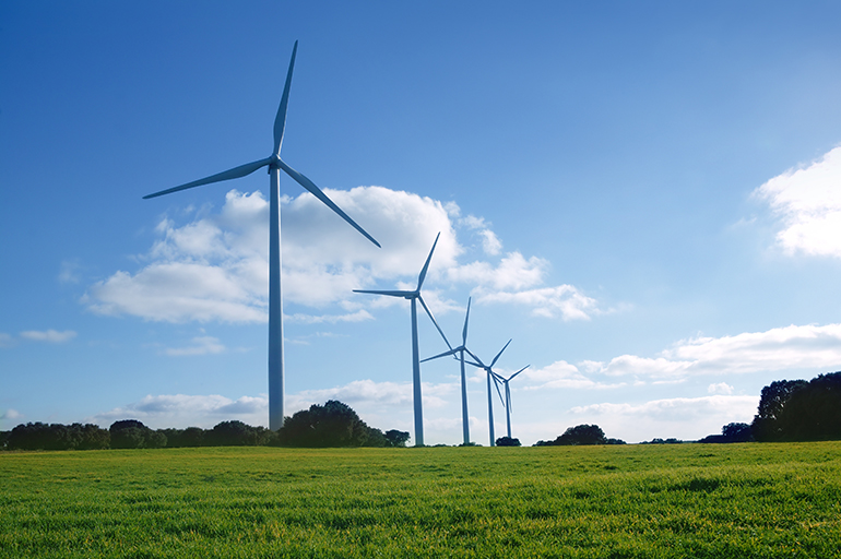 Bird is the word at Greek wind farm Bird is the word at Greek wind farm