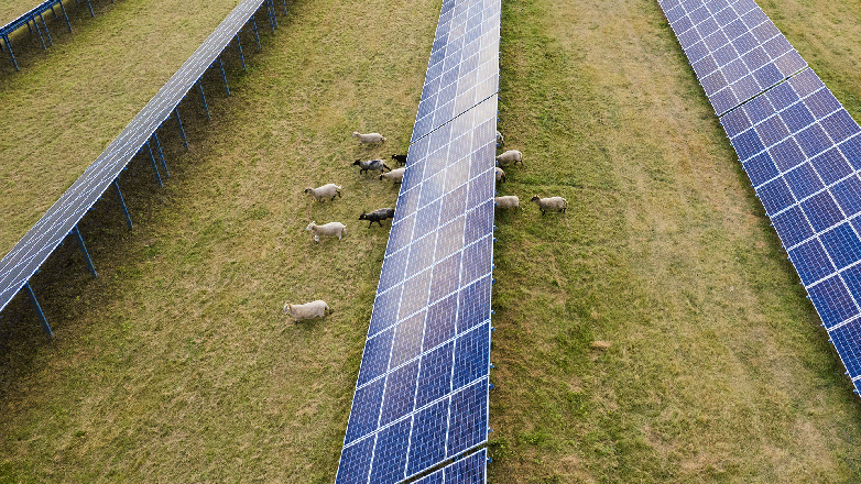 Octopus nets 80MW French solar portfolio Octopus nets 80MW French solar portfolio