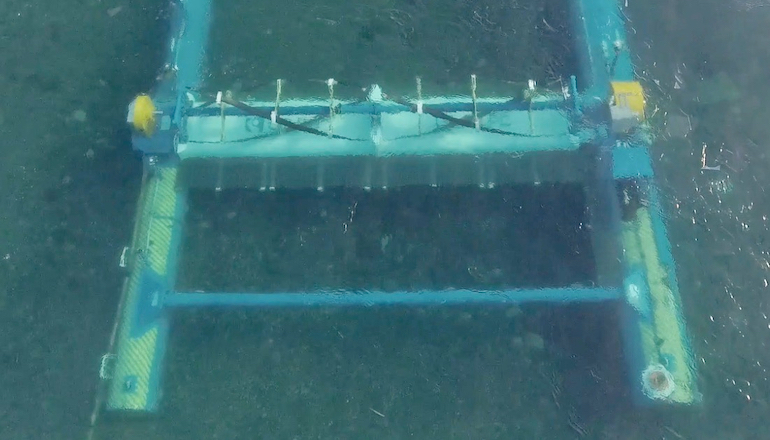 ORPC team to test hydro-kinetic device in Maine ORPC partners on new marine energy turbine initiative