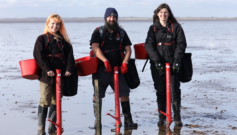 Orsted backs Humber seagrass restoration effort