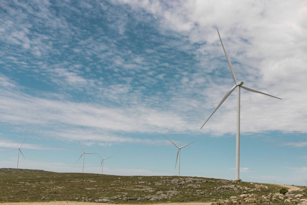 Argentinian developer starts 155MW wind project Argentinian developer starts 155MW wind project