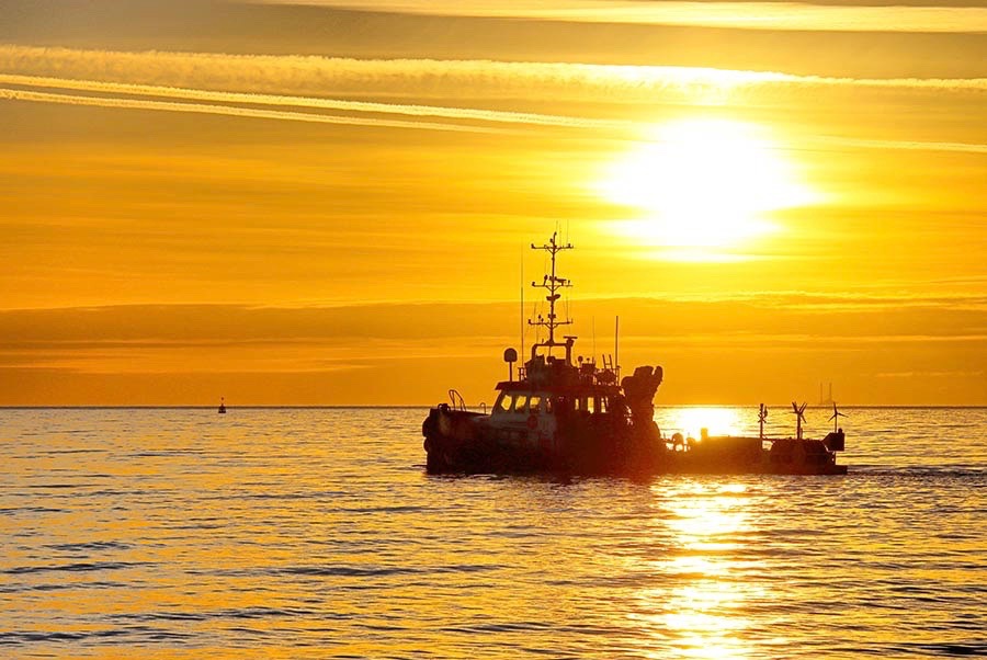 Dublin Array applies for further surveys