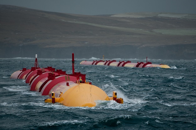 EMEC ponders Pelamis options